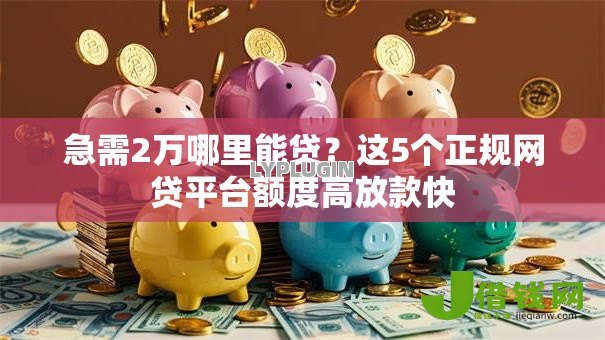 急需2万哪里能贷？这5个正规网贷平台额度高放款快