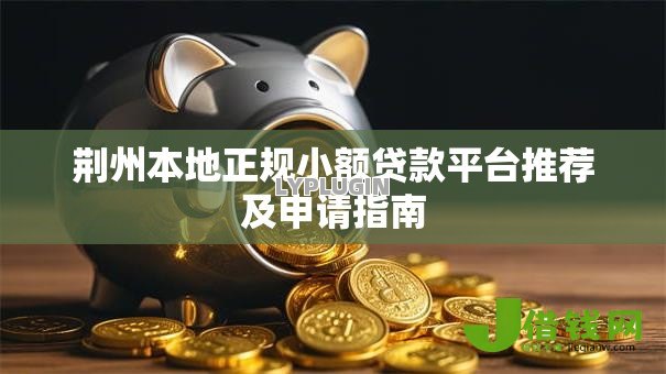 荆州本地正规小额贷款平台推荐及申请指南 荆州本地正规小额贷款平台推荐及申请指南