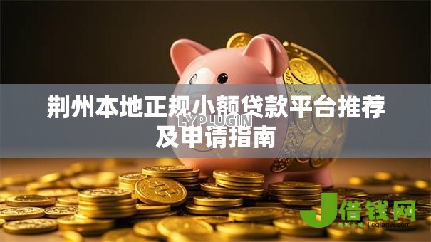 荆州本地正规小额贷款平台推荐及申请指南 荆州本地正规小额贷款平台推荐及申请指南