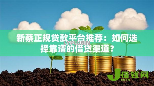 新蔡正规贷款平台推荐:如何选择靠谱的借贷渠道? 新蔡正规贷款平台推荐:如何选择靠谱的借贷渠道?