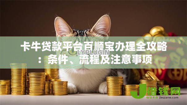 卡牛贷款平台百顺宝办理全攻略:条件、流程及注意事项 卡牛贷款平台百顺宝办理全攻略:条件、流程及注意事项