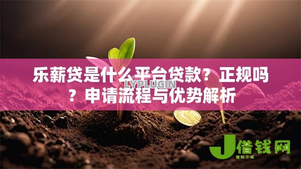 乐薪贷是什么平台贷款？正规吗？申请流程与优势解析