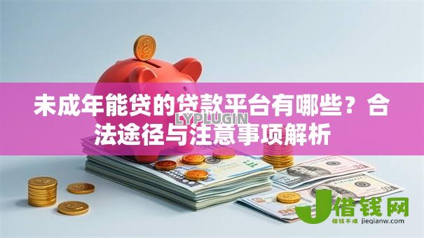 未成年能贷的贷款平台有哪些？合法途径与注意事项解析