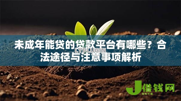 未成年能贷的贷款平台有哪些？合法途径与注意事项解析