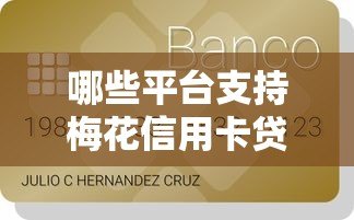 哪些平台支持梅花信用卡贷款？正规渠道全解析