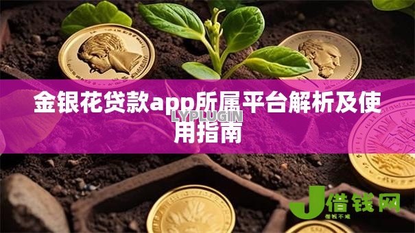 金银花贷款app所属平台解析及使用指南