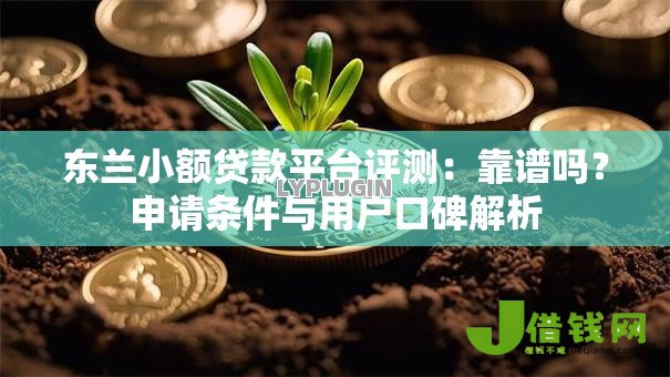 东兰小额贷款平台评测：靠谱吗？申请条件与用户口碑解析