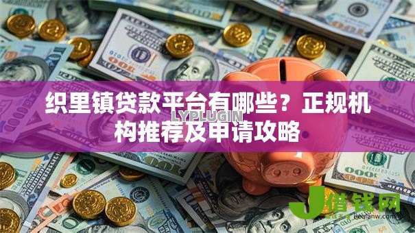织里镇贷款平台有哪些？正规机构推荐及申请攻略