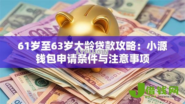 61岁至63岁大龄贷款攻略：小源钱包申请条件与注意事项