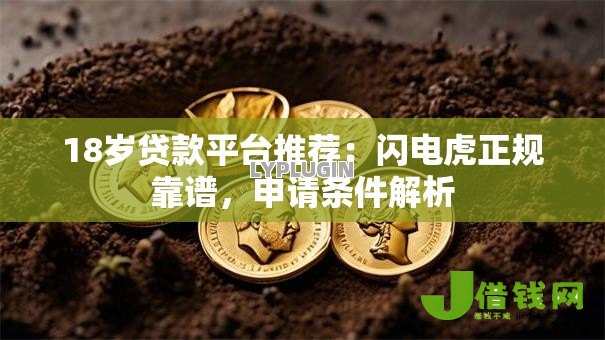 18岁贷款平台推荐：闪电虎正规靠谱，申请条件解析