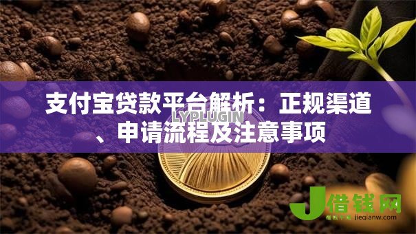 支付宝贷款平台解析：正规渠道、申请流程及注意事项