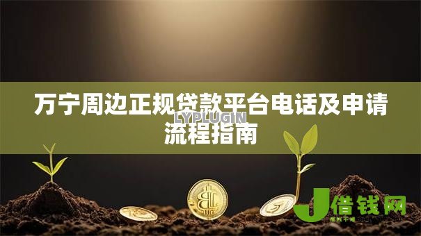 万宁周边正规贷款平台电话及申请流程指南 万宁周边正规贷款平台电话及申请流程指南