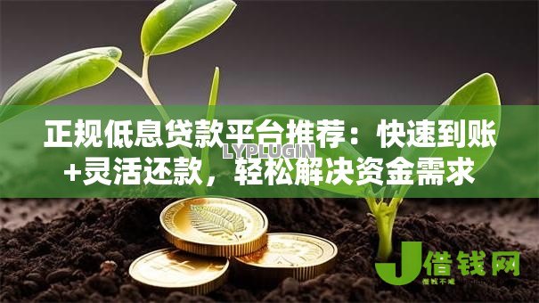 正规低息贷款平台推荐：快速到账+灵活还款，轻松解决资金需求