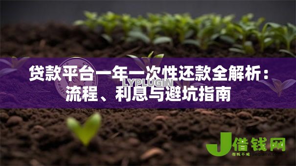 贷款平台一年一次性还款全解析：流程、利息与避坑指南