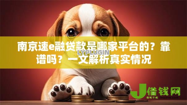 南京速e融贷款是哪家平台的？靠谱吗？一文解析真实情况