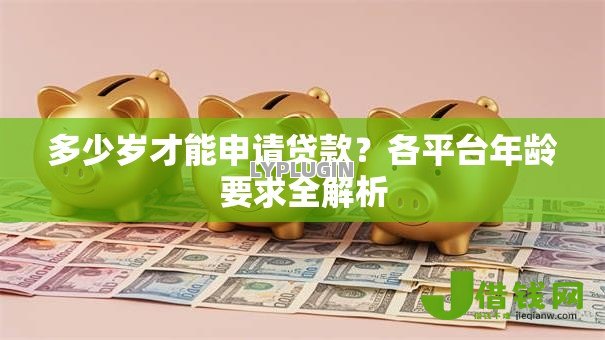 多少岁才能申请贷款？各平台年龄要求全解析