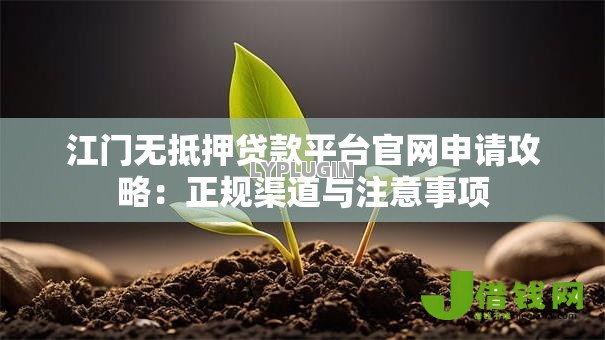江门无抵押贷款平台官网申请攻略：正规渠道与注意事项
