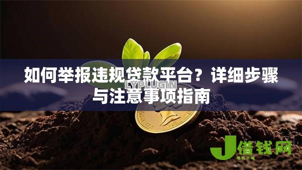 如何举报违规贷款平台？详细步骤与注意事项指南