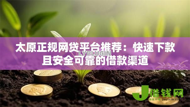 太原正规网贷平台推荐：快速下款且安全可靠的借款渠道