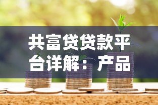 共富贷贷款平台详解：产品类型、申请条件、风险全解析