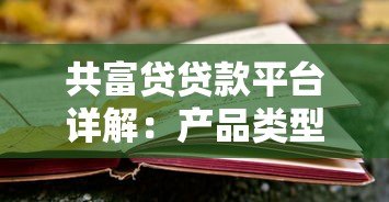 共富贷贷款平台详解：产品类型、申请条件、风险全解析