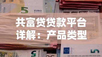 共富贷贷款平台详解：产品类型、申请条件、风险全解析