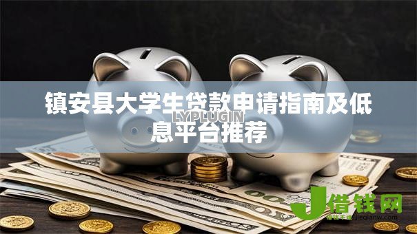 镇安县大学生贷款申请指南及低息平台推荐