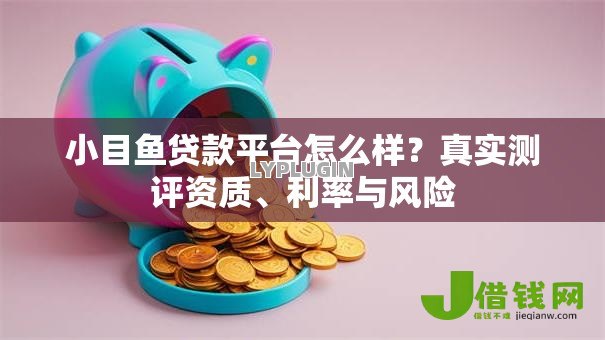 小目鱼贷款平台怎么样?真实测评资质、利率与风险 小目鱼贷款平台怎么样?真实测评资质、利率与风险