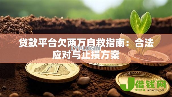 贷款平台欠两万自救指南:合法应对与止损方案 贷款平台欠两万自救指南:合法应对与止损方案