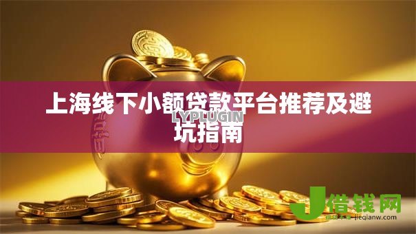 上海线下小额贷款平台推荐及避坑指南 上海线下小额贷款平台推荐及避坑指南