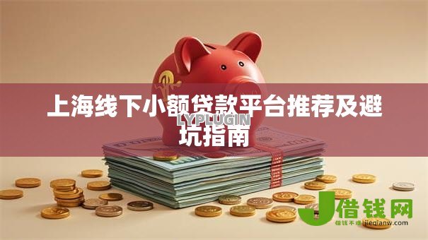 上海线下小额贷款平台推荐及避坑指南 上海线下小额贷款平台推荐及避坑指南