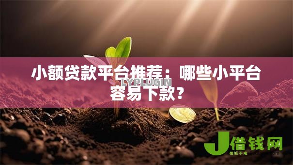 小额贷款平台推荐：哪些小平台容易下款？