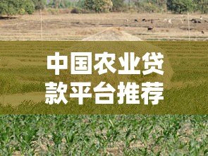 中国农业贷款平台推荐及申请攻略：助农资金轻松获取