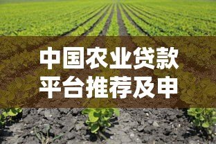 中国农业贷款平台推荐及申请攻略：助农资金轻松获取