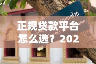 正规贷款平台怎么选？2023年避坑指南与真实测评