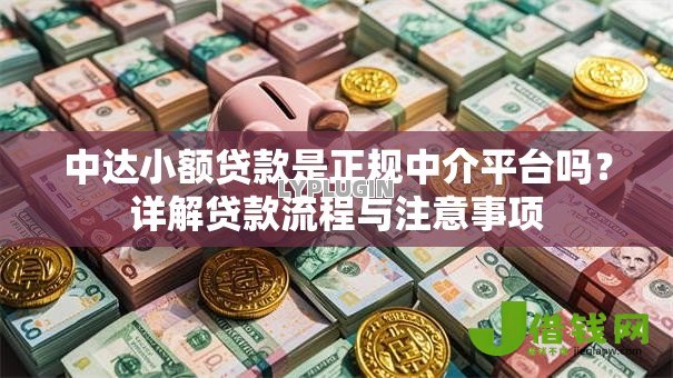 中达小额贷款是正规中介平台吗?详解贷款流程与注意事项 中达小额贷款是正规中介平台吗?详解贷款流程与注意事项