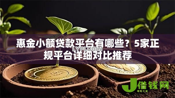 惠金小额贷款平台有哪些？5家正规平台详细对比推荐