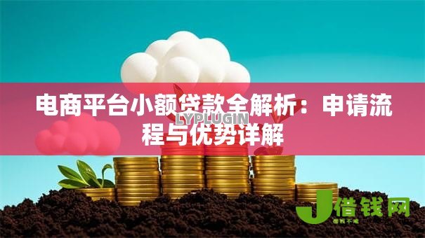 电商平台小额贷款全解析:申请流程与优势详解 电商平台小额贷款全解析:申请流程与优势详解