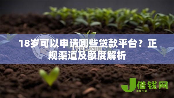 18岁可以申请哪些贷款平台?正规渠道及额度解析 18岁可以申请哪些贷款平台?正规渠道及额度解析