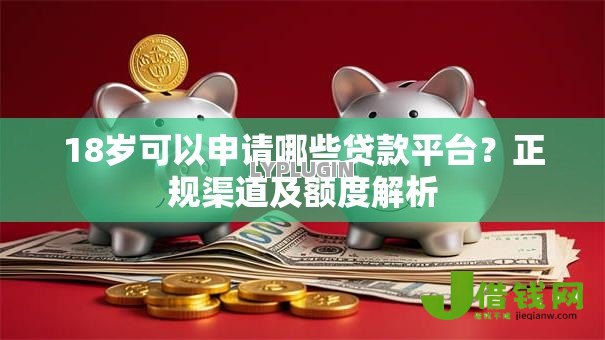 18岁可以申请哪些贷款平台?正规渠道及额度解析 18岁可以申请哪些贷款平台?正规渠道及额度解析