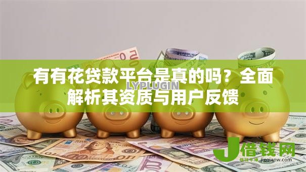 有有花贷款平台是真的吗？全面解析其资质与用户反馈