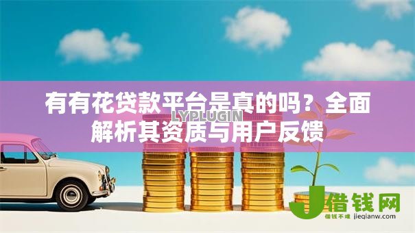 有有花贷款平台是真的吗？全面解析其资质与用户反馈