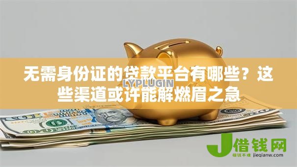 无需身份证的贷款平台有哪些?这些渠道或许能解燃眉之急 无需身份证的贷款平台有哪些?这些渠道或许能解燃眉之急