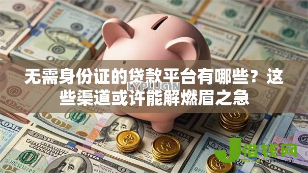 无需身份证的贷款平台有哪些?这些渠道或许能解燃眉之急 无需身份证的贷款平台有哪些?这些渠道或许能解燃眉之急