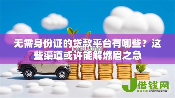无需身份证的贷款平台有哪些?这些渠道或许能解燃眉之急 无需身份证的贷款平台有哪些?这些渠道或许能解燃眉之急
