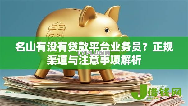 名山有没有贷款平台业务员？正规渠道与注意事项解析