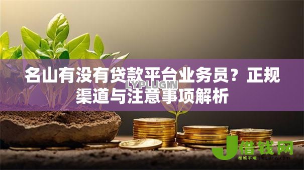 名山有没有贷款平台业务员？正规渠道与注意事项解析