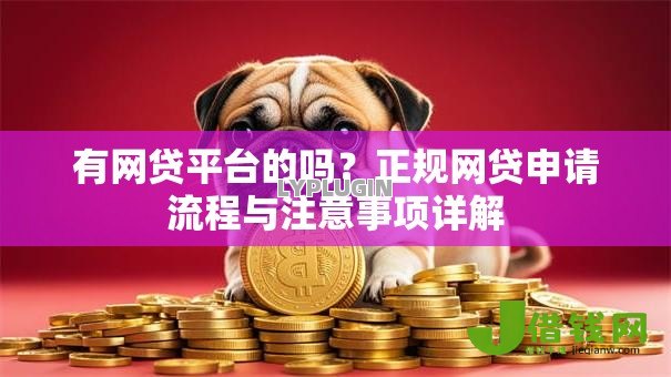 有网贷平台的吗？正规网贷申请流程与注意事项详解