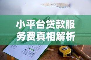 小平台贷款服务费真相解析：这些费用你必须知道