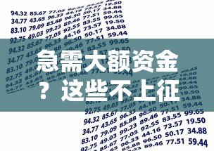 急需大额资金？这些不上征信的贷款平台值得了解